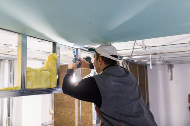 Types of Insulation We Offer in Lebanon Junction, KY