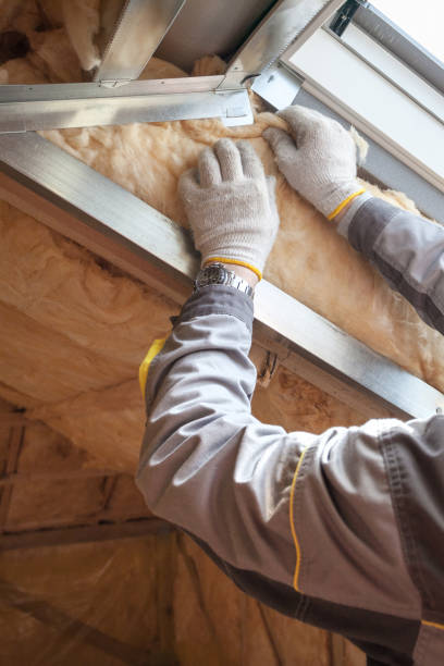Best Specialized Insulation Services in Lebanon Junction, KY
